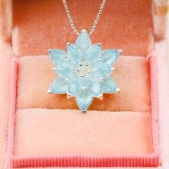 lotus çiçeği