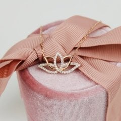 lotus çiçeği