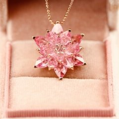 lotus çiçeği
